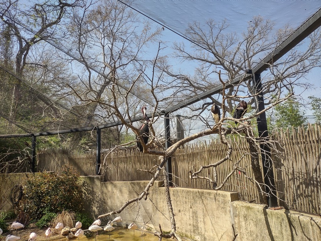 IMG_20240306_134612374_HDR.jpg