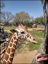 IMG_20240306_125634422_HDR.jpg