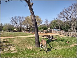 IMG_20240306_125725573_HDR.jpg