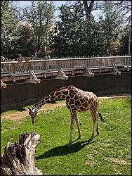 IMG_20240306_125909799_HDR.jpg
