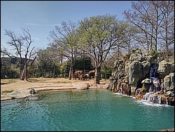 IMG_20240306_131733005_HDR.jpg