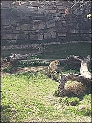 IMG_20240306_133826751.jpg