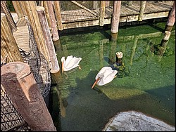IMG_20240306_142733455_HDR(1).jpg