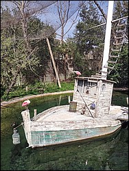 IMG_20240306_142759065(1).jpg