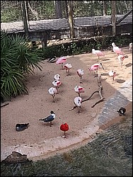 IMG_20240306_142823138.jpg