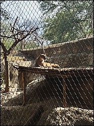 IMG_20240306_143144130.jpg