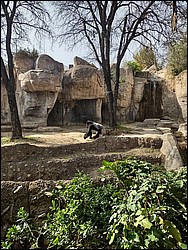 IMG_20240306_153424785_HDR.jpg