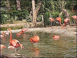 IMG_20240306_153750689.jpg