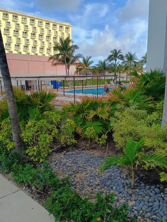 IMG_20260501_081948094_HDR_AE.jpg
