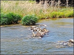 IMG_20260630_124746187_AE.jpg
