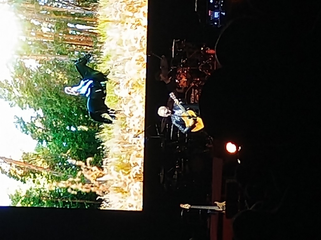 IMG_20260809_194147714.jpg