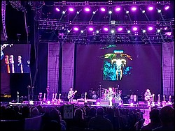 IMG_20260809_193404728.jpg