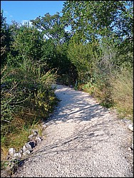 IMG_20260902_180256002_HDR_AE.jpg
