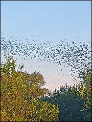 IMG_20260902_192148660_AE.jpg