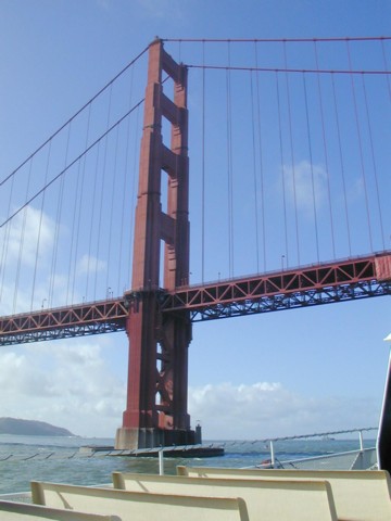 sf.jpg (37378 bytes)